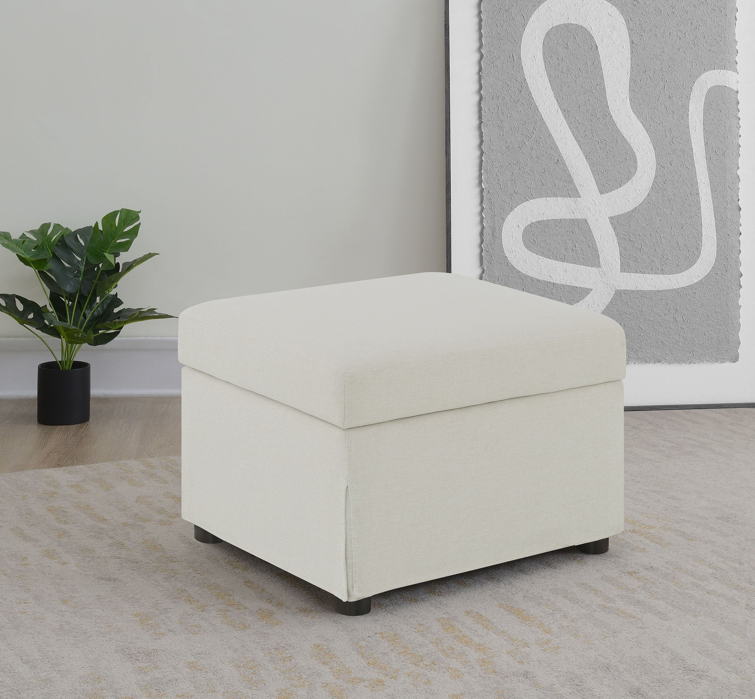 Winter Storage Ottoman