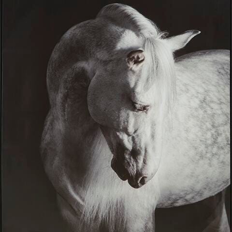 Arte de Pared Archerwick