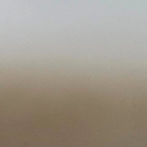 Acario Jarro