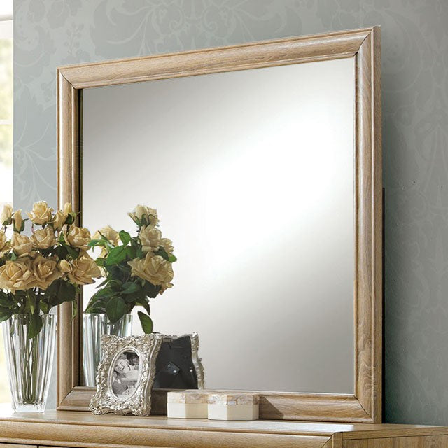 Renee Mirror