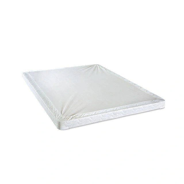 Ave del Paraíso base de 10 cm tamaño King