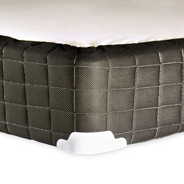 Base Gris, E.King, 2CTN
