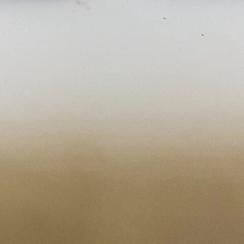 Acario Jarro