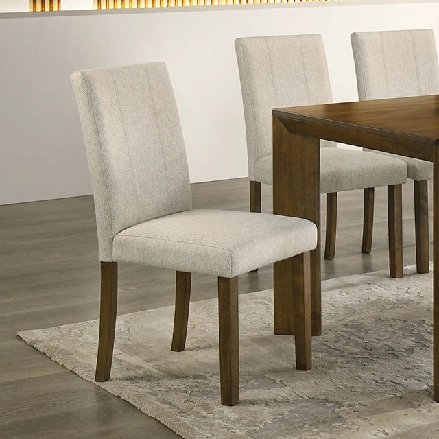 Silla Paolino (2/CJA)
