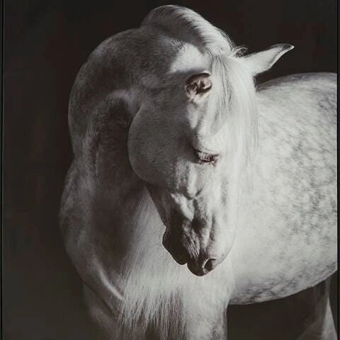 Arte de Pared Archerwick