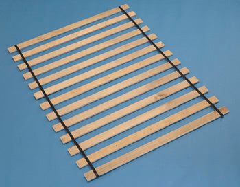 Cama Hollivern