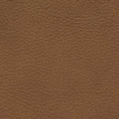 Magic Man 5-Piece Power Reclining Sectional